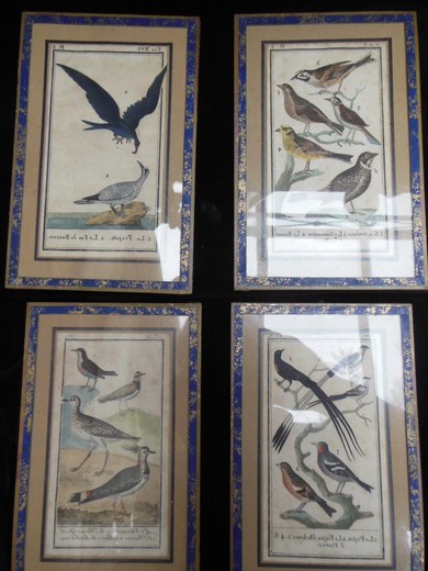 старинные гравюры птицы из бумаги, акварель, 19 век