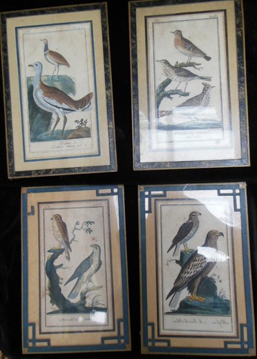 винтажные гравюры птицы из бумаги, акварель, 19 век