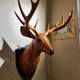 Wall panel "Deer"