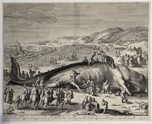 Антикварная гравюра «Выброшенный на берег кит»