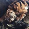 Антикварная картина «Тигриная охота»