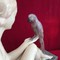 Скульптура «Девушка с попугаем»