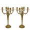 Antique twin candelabra