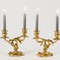 Pair of Louis XV Style Candelabra