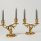 Pair of Louis XV Style Candelabra