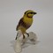 Antique statuette "Yellowhammer"