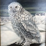 Антикварная картина «Полярная сова»