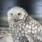 Antique painting "Polar Owl"