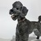 Antique sculpture "Royal Poodle"