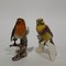 Antique robin bird statuette