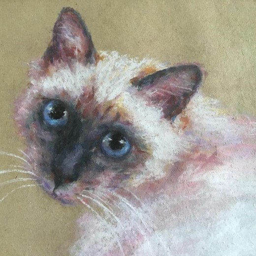 винтажная картина сиамского кота пастелью на бумаге купить в Москве