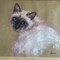 Картина "Сиамская кошка"