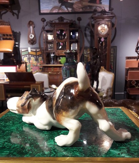 porcelain Jack Russell terrier