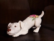 Porcelain Jack Russell terrier