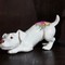 Porcelain Jack Russell terrier