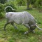 Antique bull life-sized sculpture