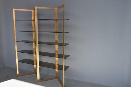 Vintage bookcase. It is made of metal and glass. France, the 1970s.