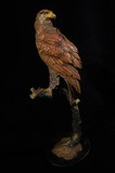 Antique sculpture "Eagle on a branch"