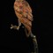 Антикварная скульптура «Орел на ветке»