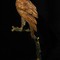 Antique sculpture "Eagle on a branch"