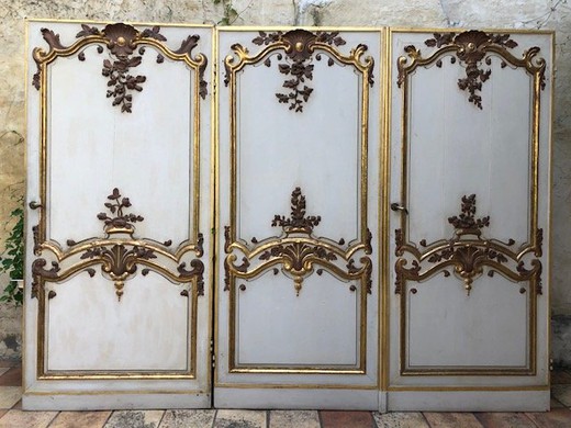 Antique Louis XV castle doors
