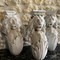 Antique Marble Lions