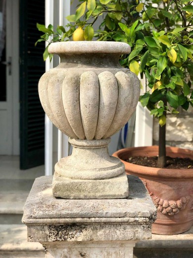 Pair of decorative garden Vases
