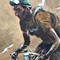 Портрет итальянского велогонщика