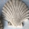 Antique plaster pair shells