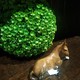 Antique sculpture "Foal"