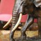 Antique sculpture "Elephant"