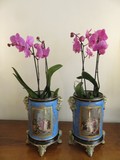 Pair of antique vases