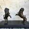 Antique pair of lions onto black marble