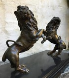 Antique pair of lions onto black marble