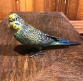 Antique sculpture "Parrot"