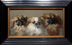 Antique painting "Pekingese"