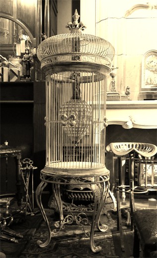 birdcage antique vintage