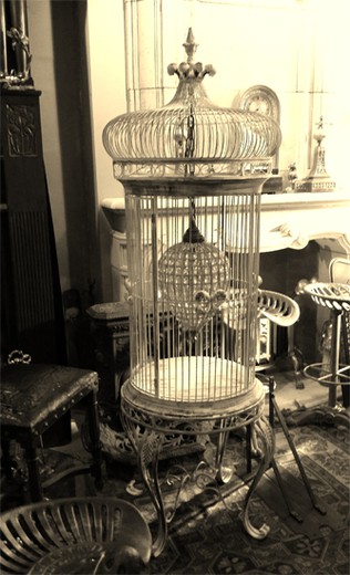 birdcage antiques vintage