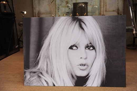 photo of Brigitte Bardot decoration for loft