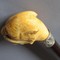 antique walking stick ebony and ivory