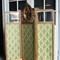 antique screen with gilding
