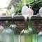 Bottles of XIX century