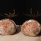 Pair Napoleon III Brons & sea shells