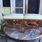 antique pair of rosewood foot stools