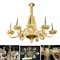 Antique chandelier oval shape