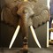 Декоративный слон