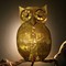 Owl wall lamp 