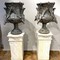 Pair of antique vases