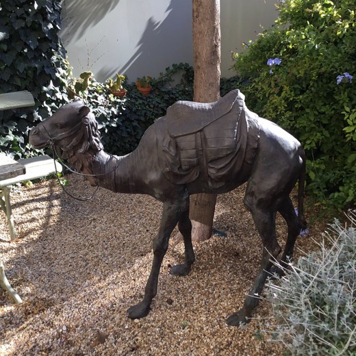 Sculpture ancienne "Camel"
