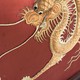 Antique panel "Dragon"